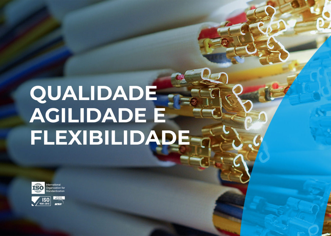 Delpi Conexões Elétricas