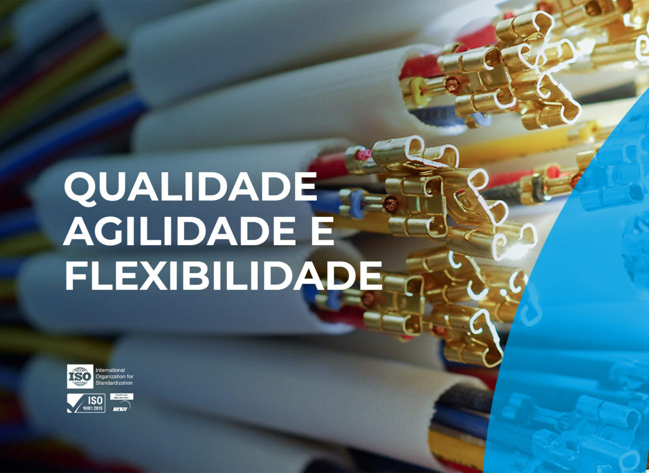 Delpi Conexões Elétricas